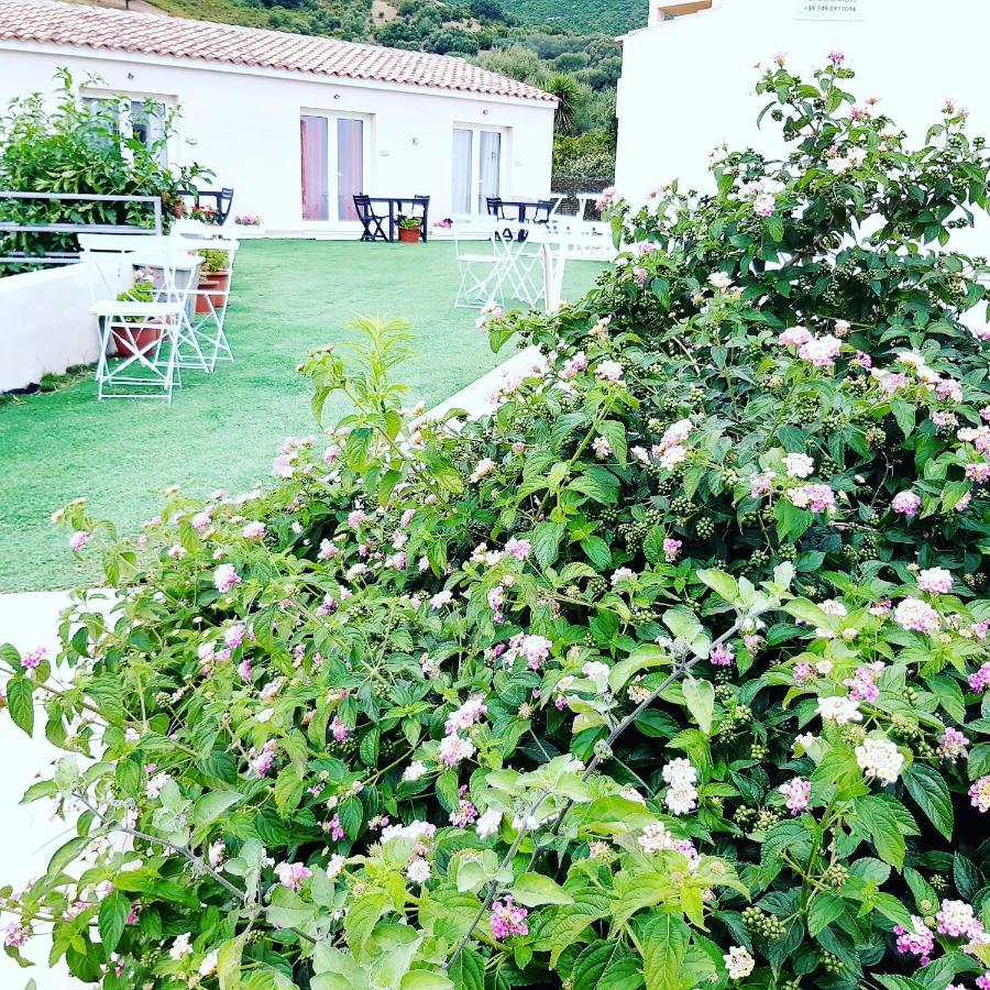 Sole&Sale Bed and Breakfast San Teodoro  Exteriör bild